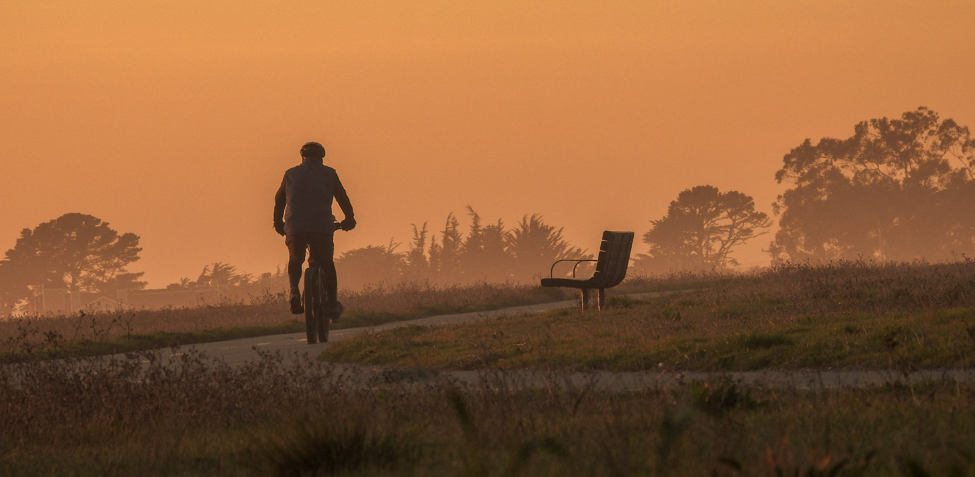 Riding Bike At Dusk.